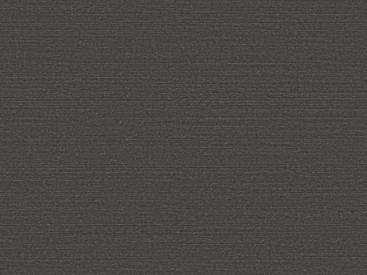 Обои Birds of Paradise | BOP327