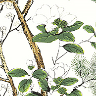 Обои Grand Palace | T13621