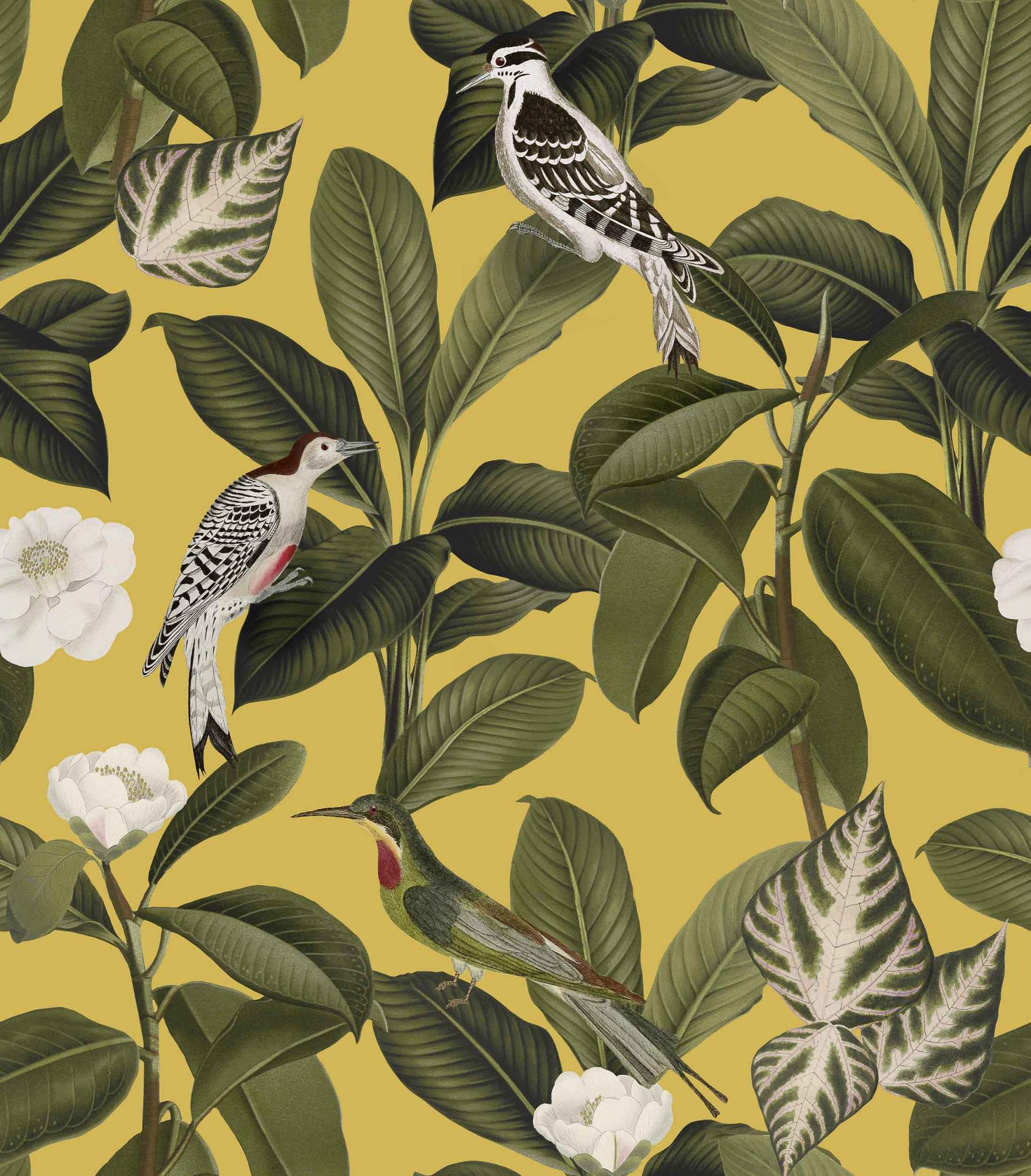 Обои Feria | A00208