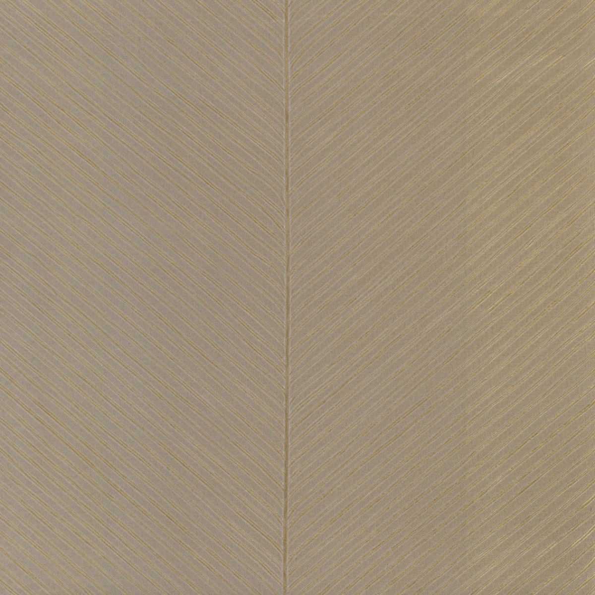 Обои Tropics Resource Library | TC2699