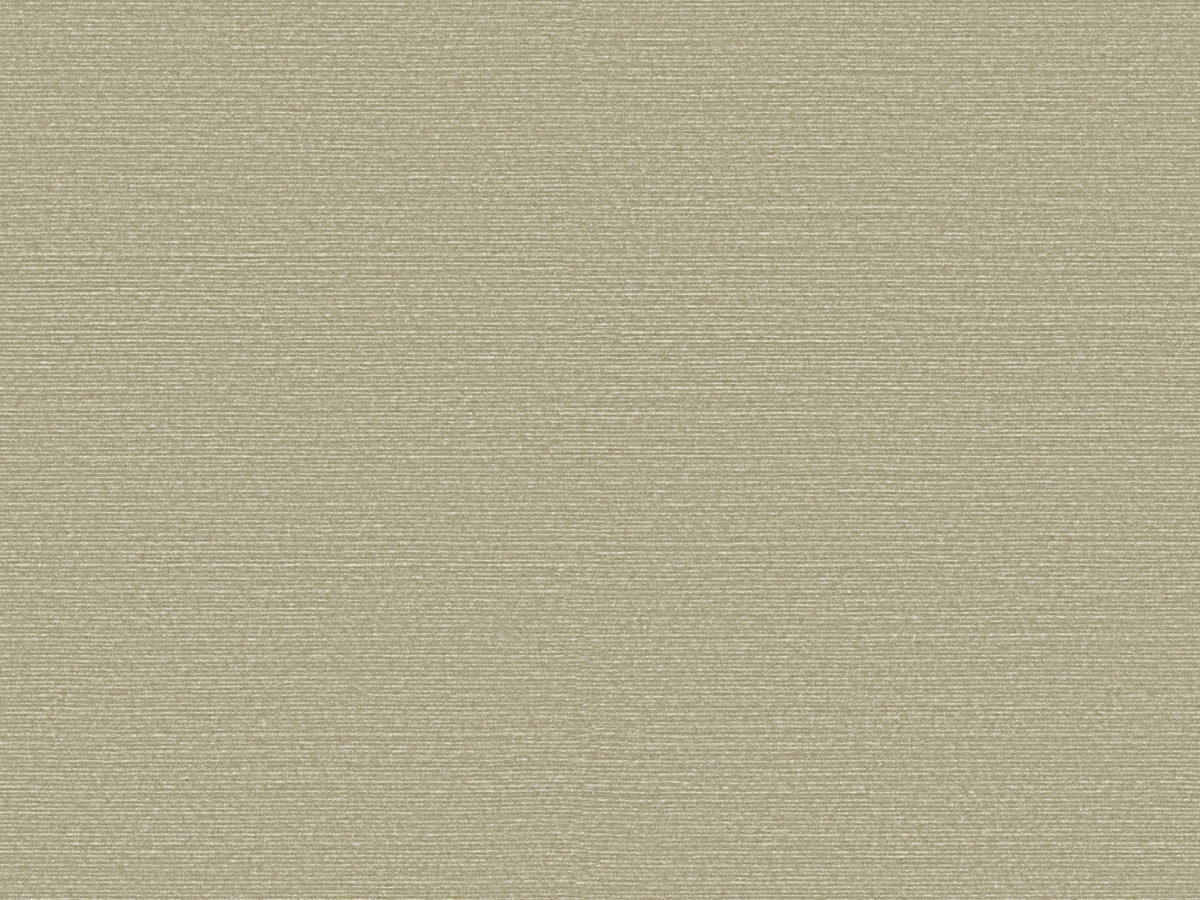 Обои Birds of Paradise | BOP318