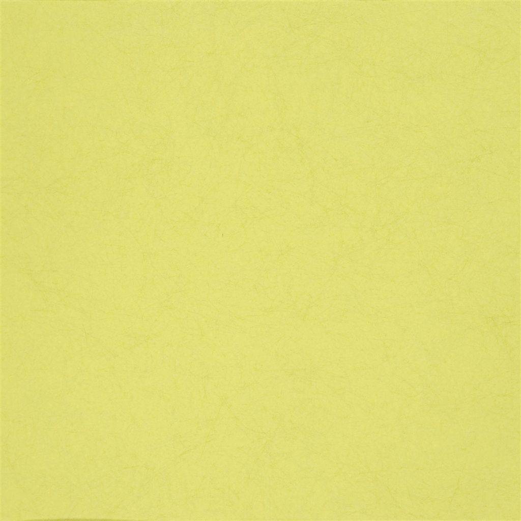 Обои Zardozi | p502-53