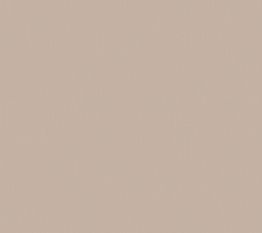 Обои Загадочный лес | IMG5 002-2