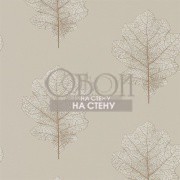 Обои Woodland Walk | 215698