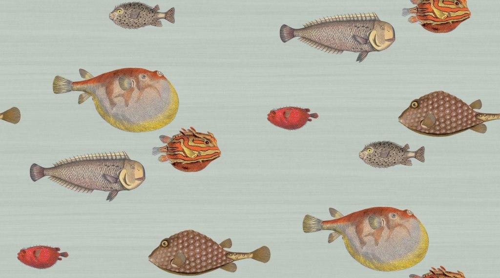 Обои Fornasetti Senza Tempo | 97-10030