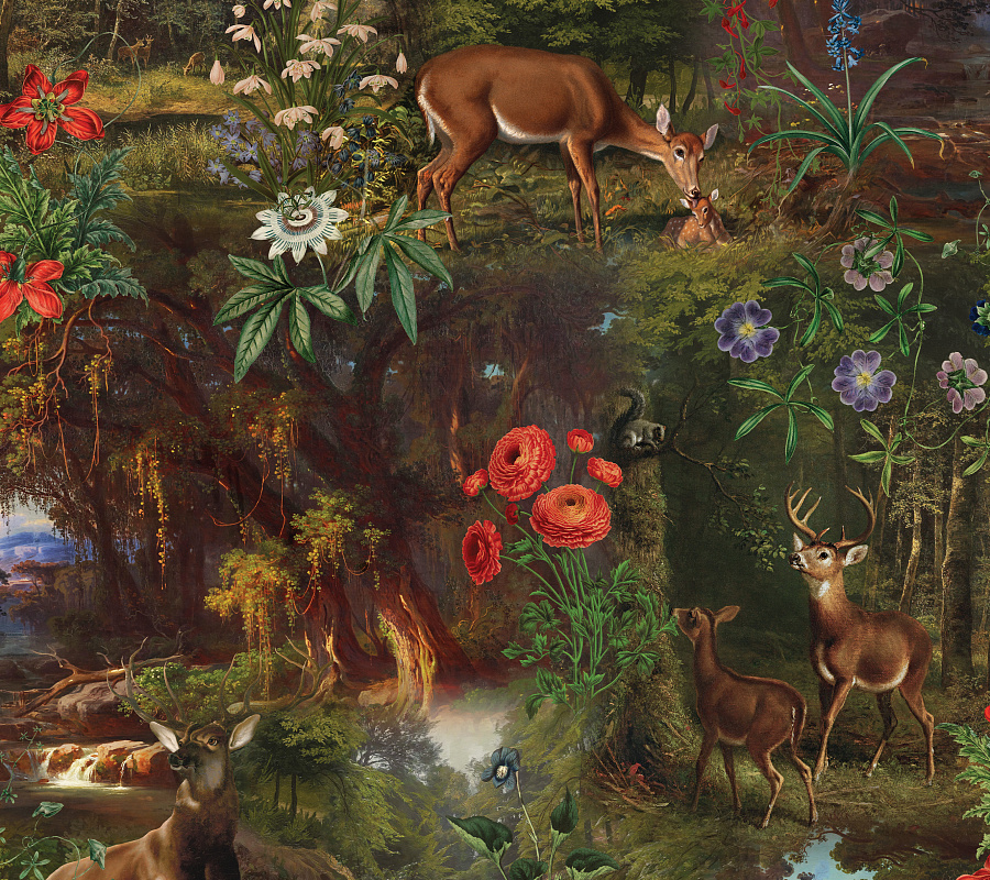 Обои Королева | FL9011