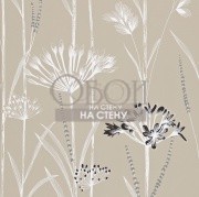 Обои Poetica | 110555