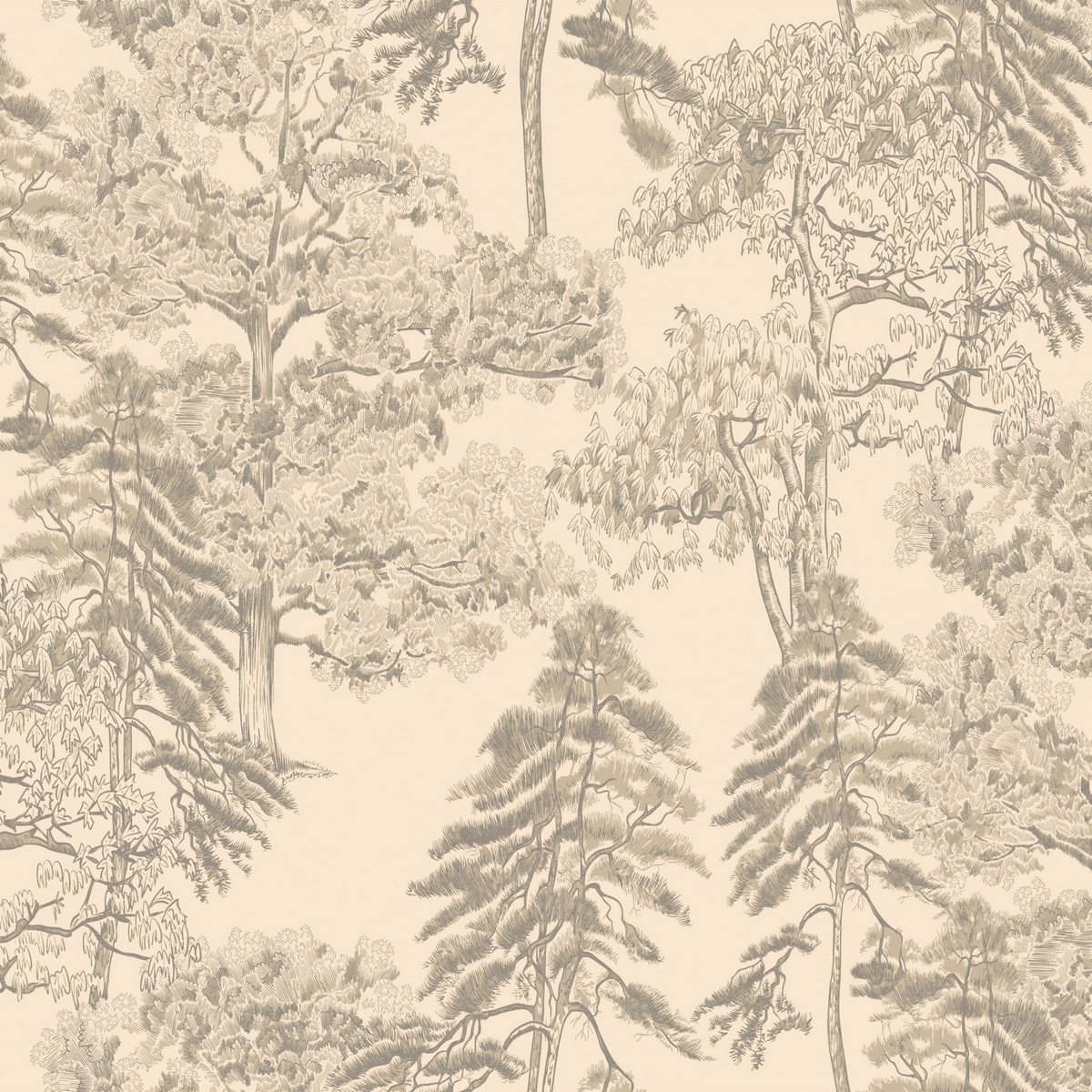 Обои Ambient 4 | Am5002_1