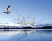 Обои Global Fusion | G45276