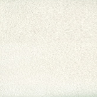 Обои Indomptée | VP625-01