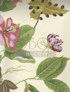 Обои Boussac | W4864005