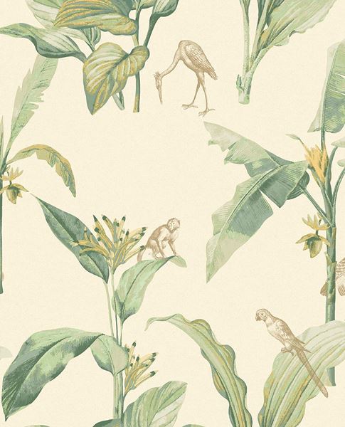 Обои Oasis | 317340