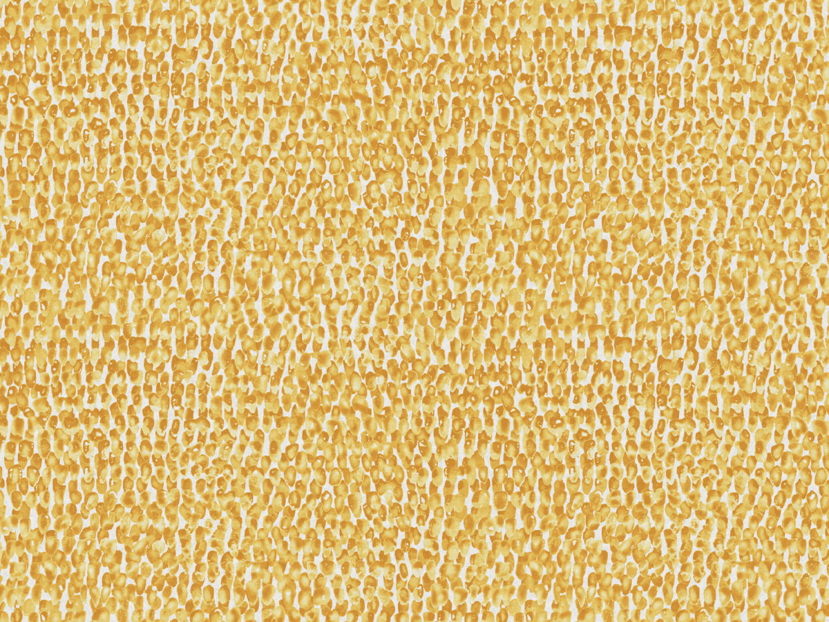 Обои Joy | JOY44