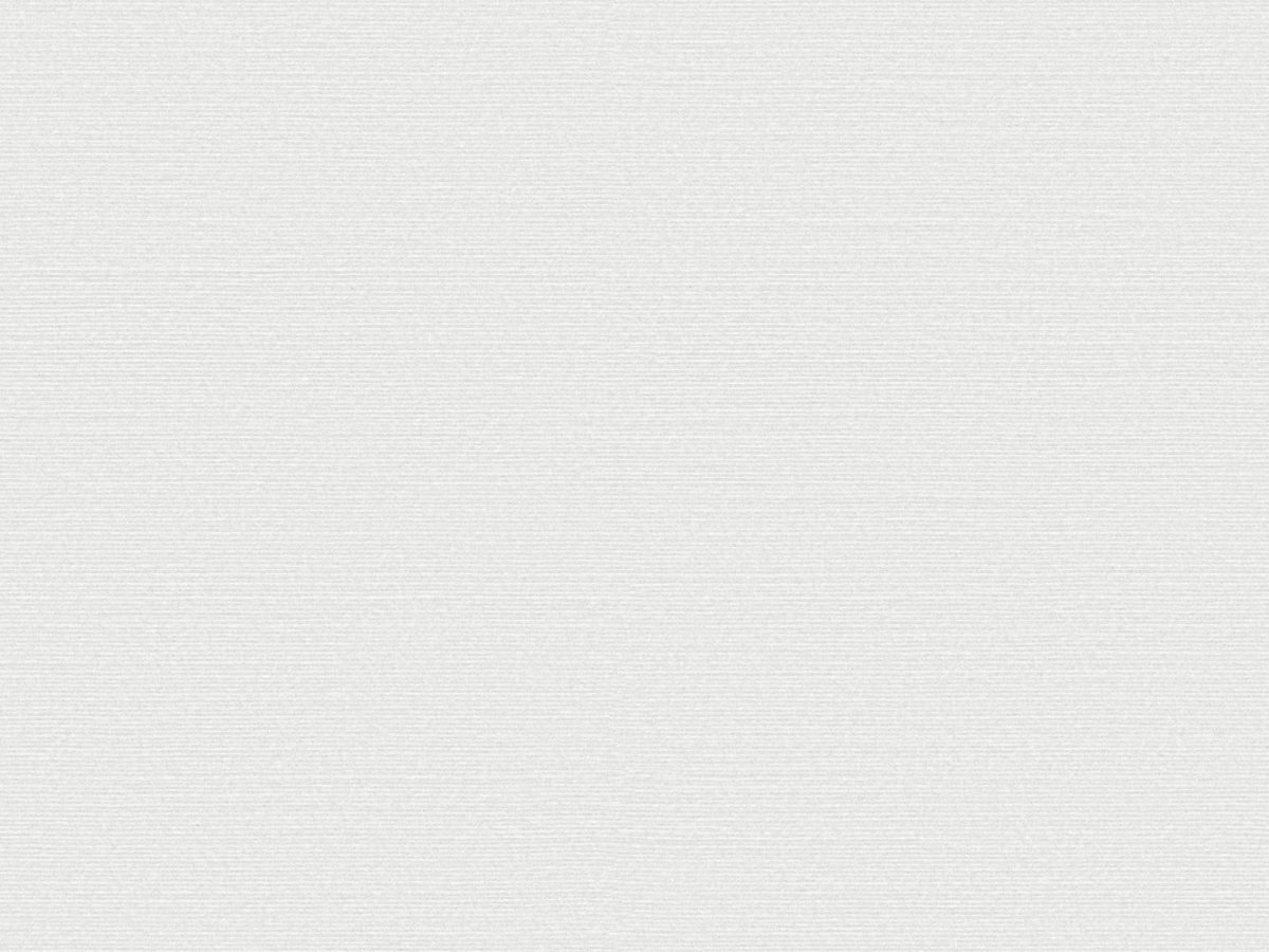 Обои Birds of Paradise | BOP323