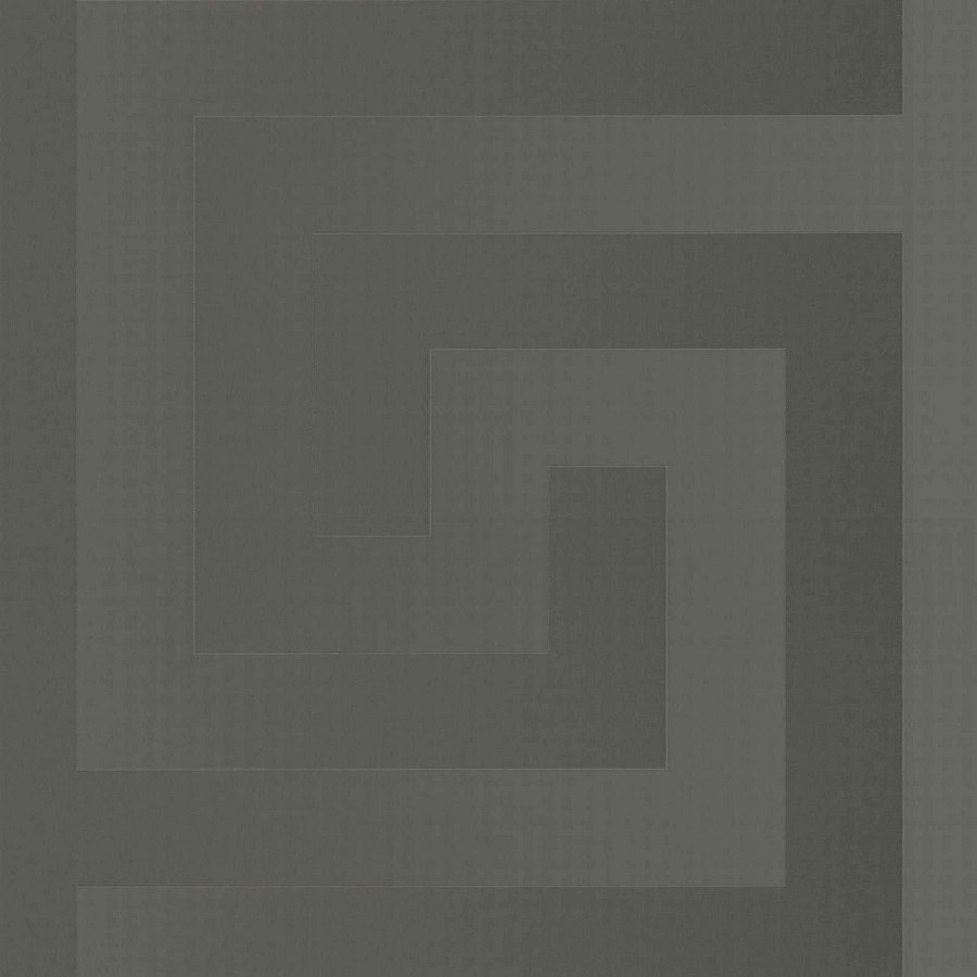 Обои Versace 5 | 38609-1