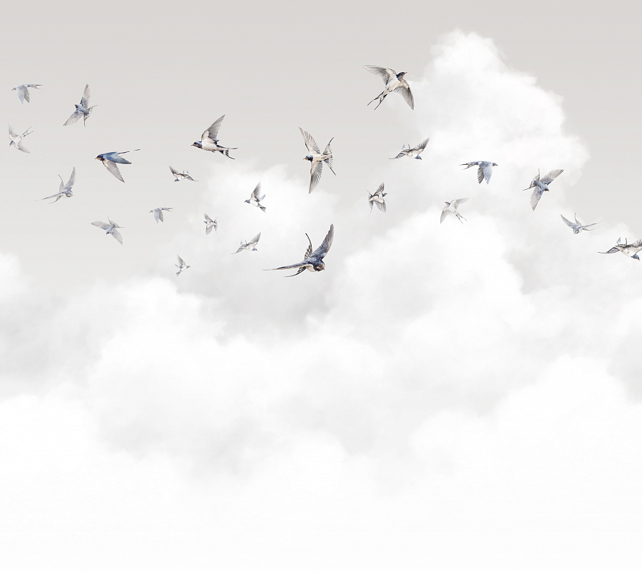 Обои Ambient 3 | AM11 011