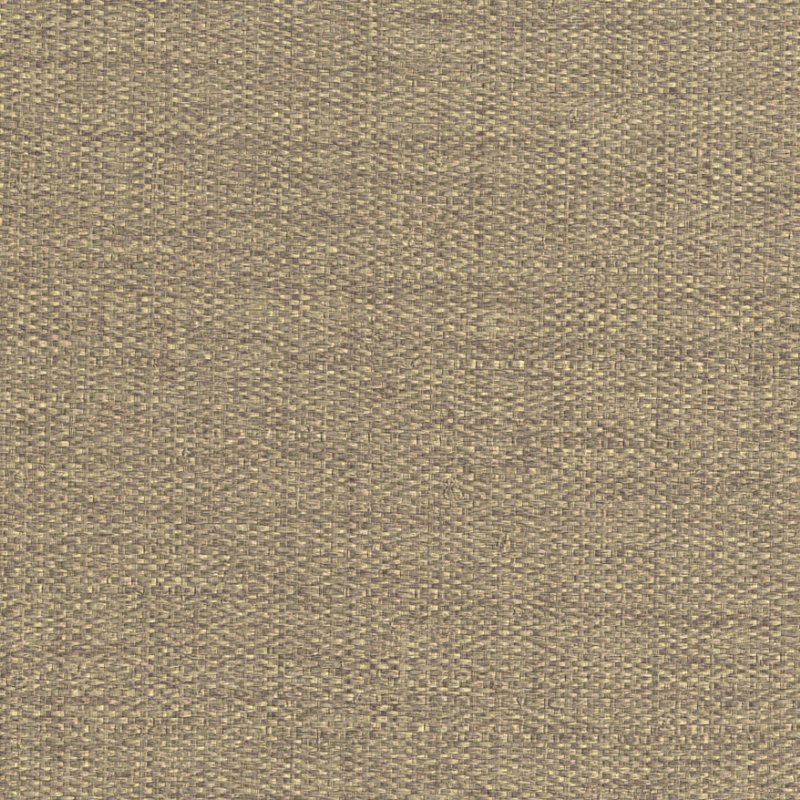 Обои Forest | 50154