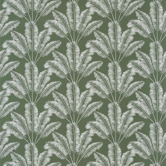 Обои Our Planet | 101947408