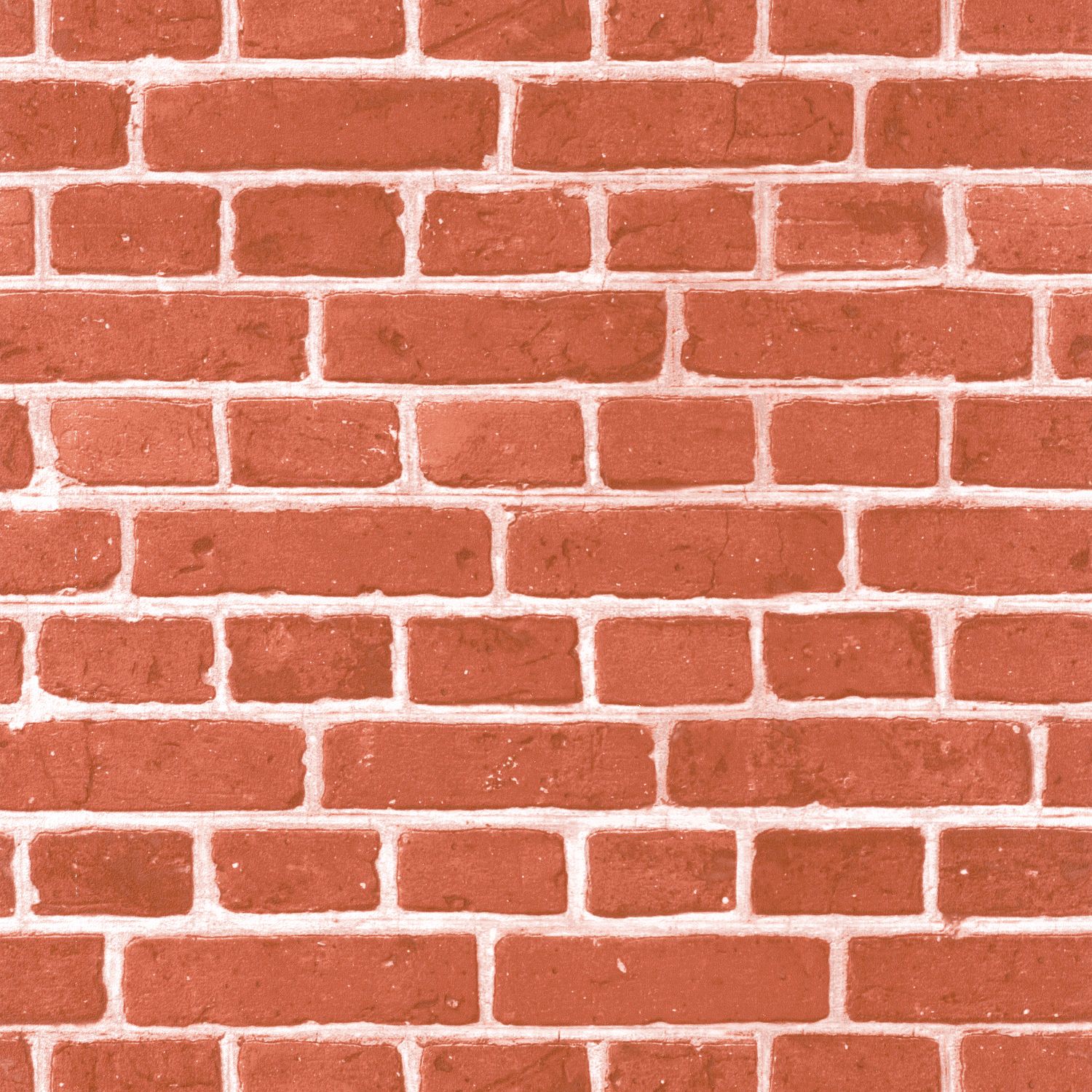 Обои Bistrot d Alice | 100688083