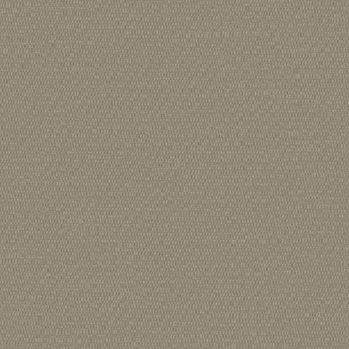 Обои Шервуд | BRIT31005_1