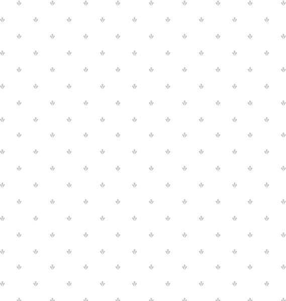 Обои Creative Kitchens | CK36605