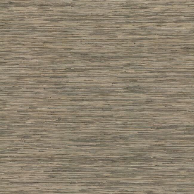 Обои Traveler | og0518