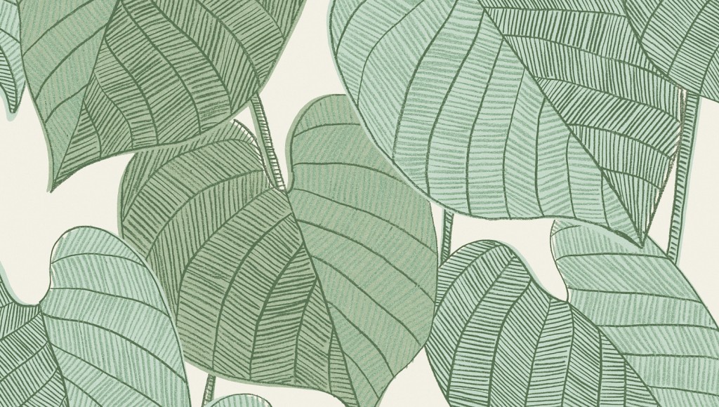 Обои Goja | goj404