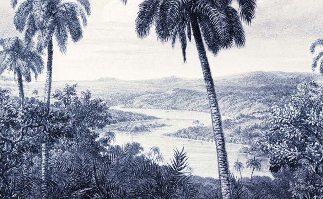 Обои Emil & Hugo Zanzibar | 290331