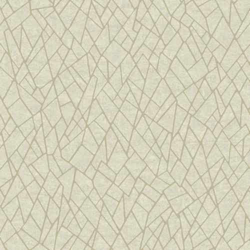 Обои Evolve | EV01120