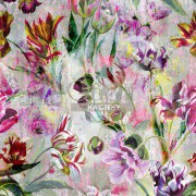 Обои Tulipa Stellata | pdg1037-01