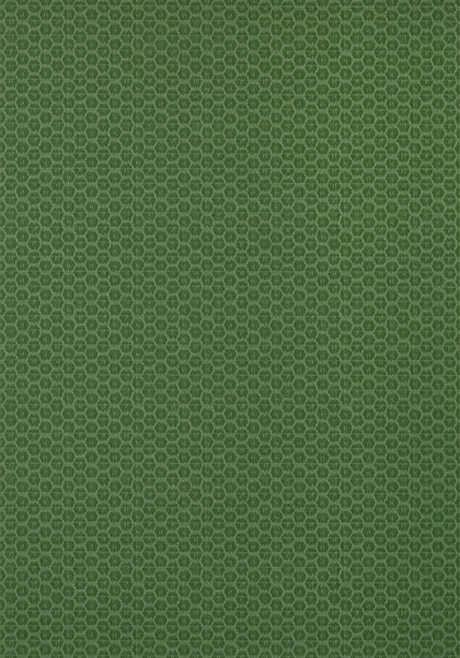 Обои Pavilion | T13368