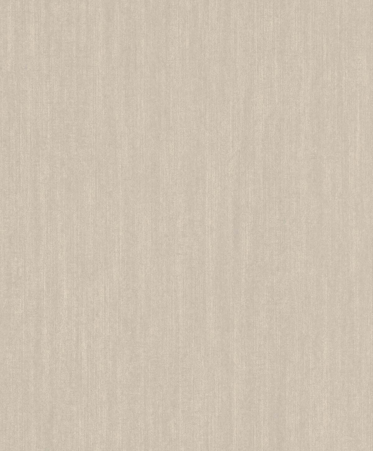 Обои Moana | 301365