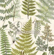 Обои Geonature | 366104