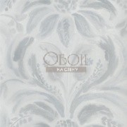 Обои Tulipa Stellata | pdg1036-06