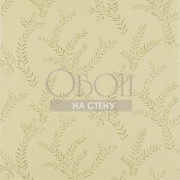 Обои Jaipur | 311717