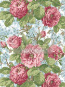 Обои English Rose | en10102