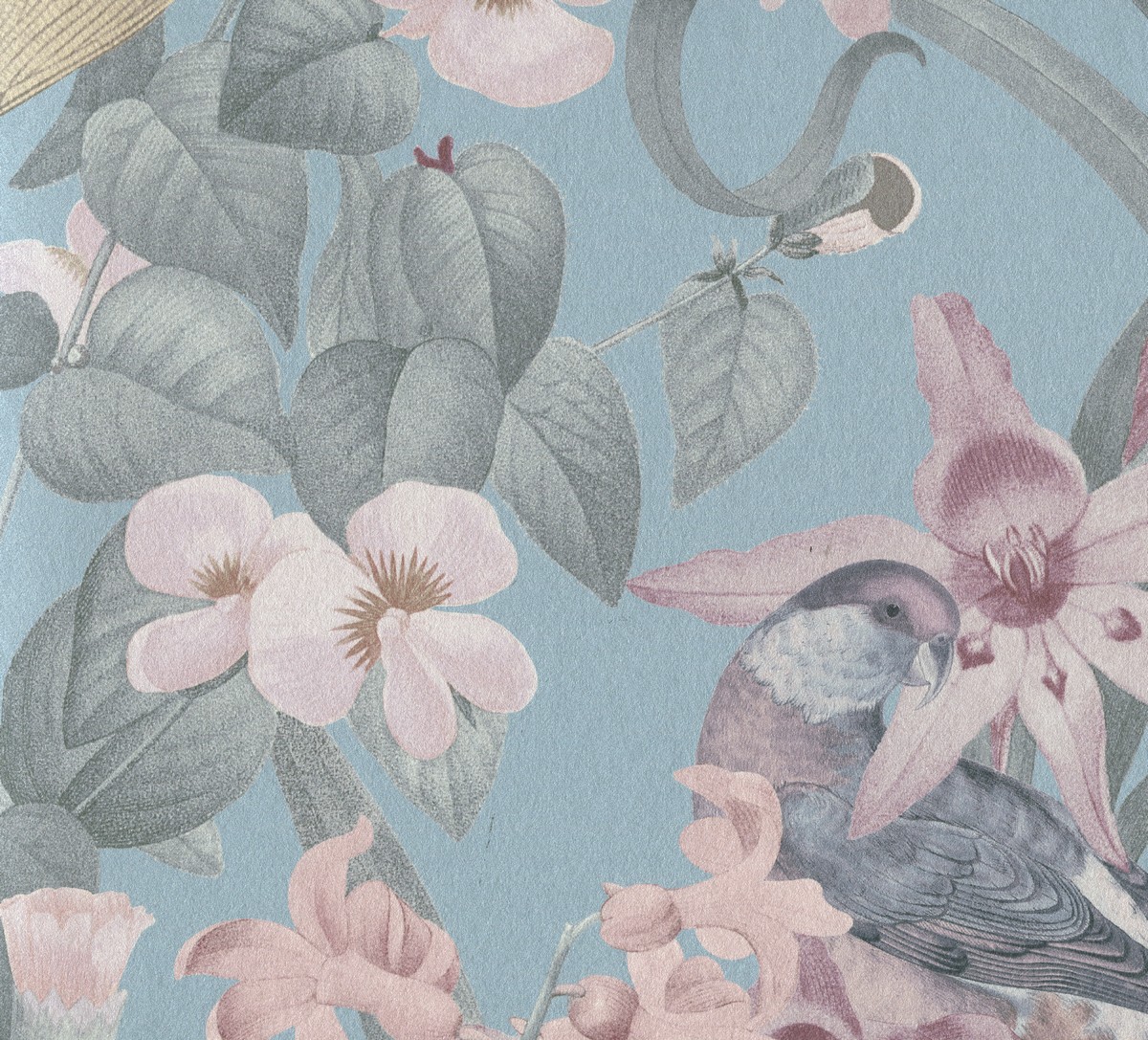 Обои  Discovery | DYW0022