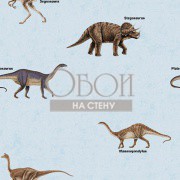 Обои Forever Young | H2912503