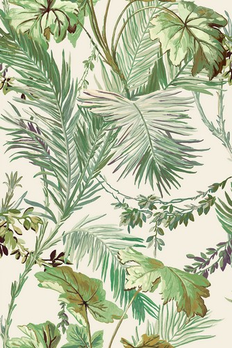 Обои Metamorphosis | 8800001