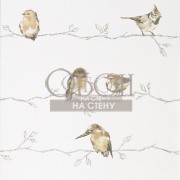 Обои Standing Ovation | 111484