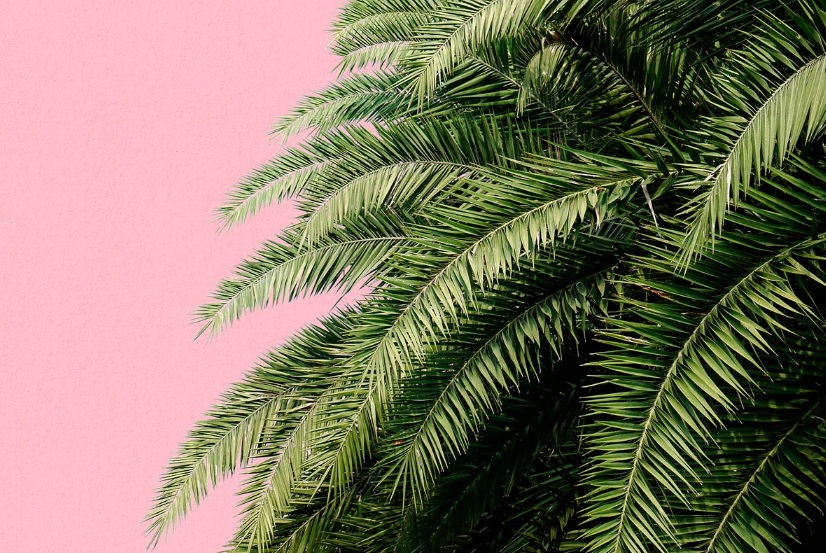 Обои Collection 3 | H11002