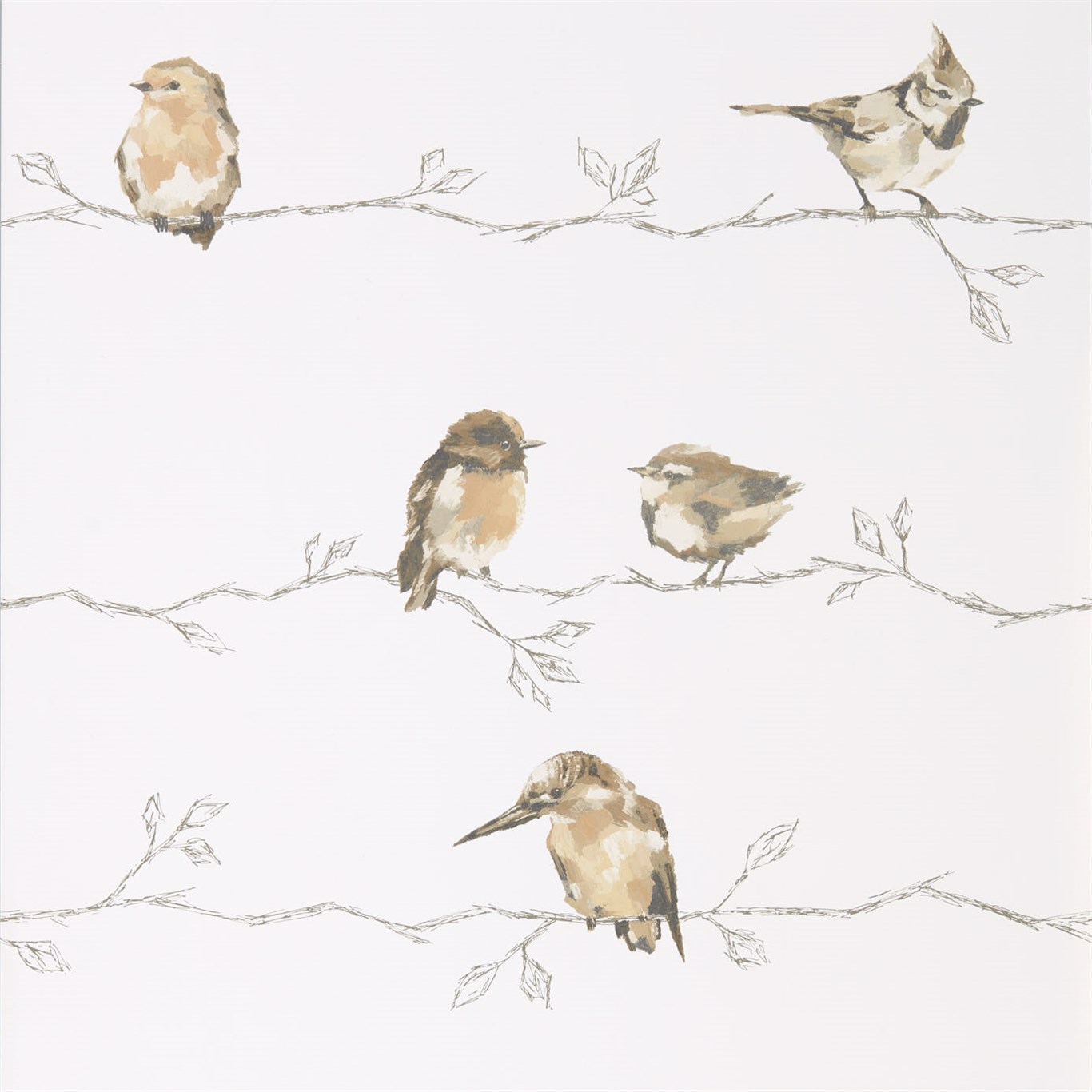 Обои Purity Edit | 111484