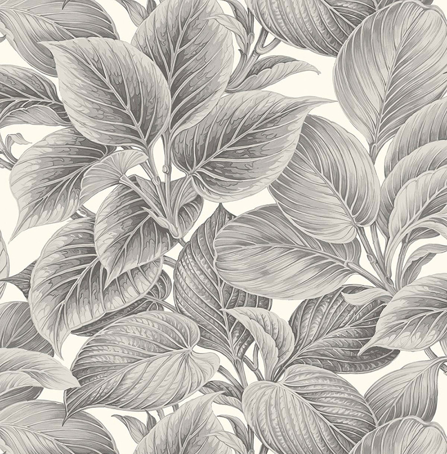 Обои Shades of White | ws70318