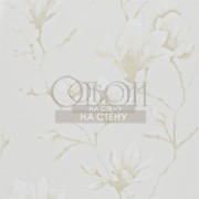 Обои Momentum 3 | 110877