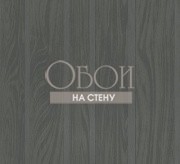 Обои Icon | ICO305