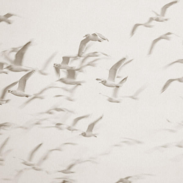 Обои Panorama | V101-1