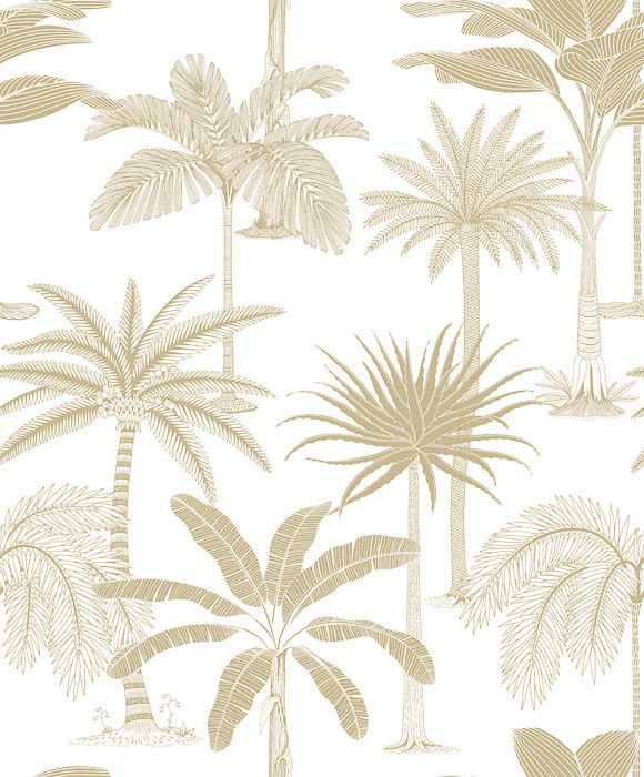 Обои Jungle Jive | 36504