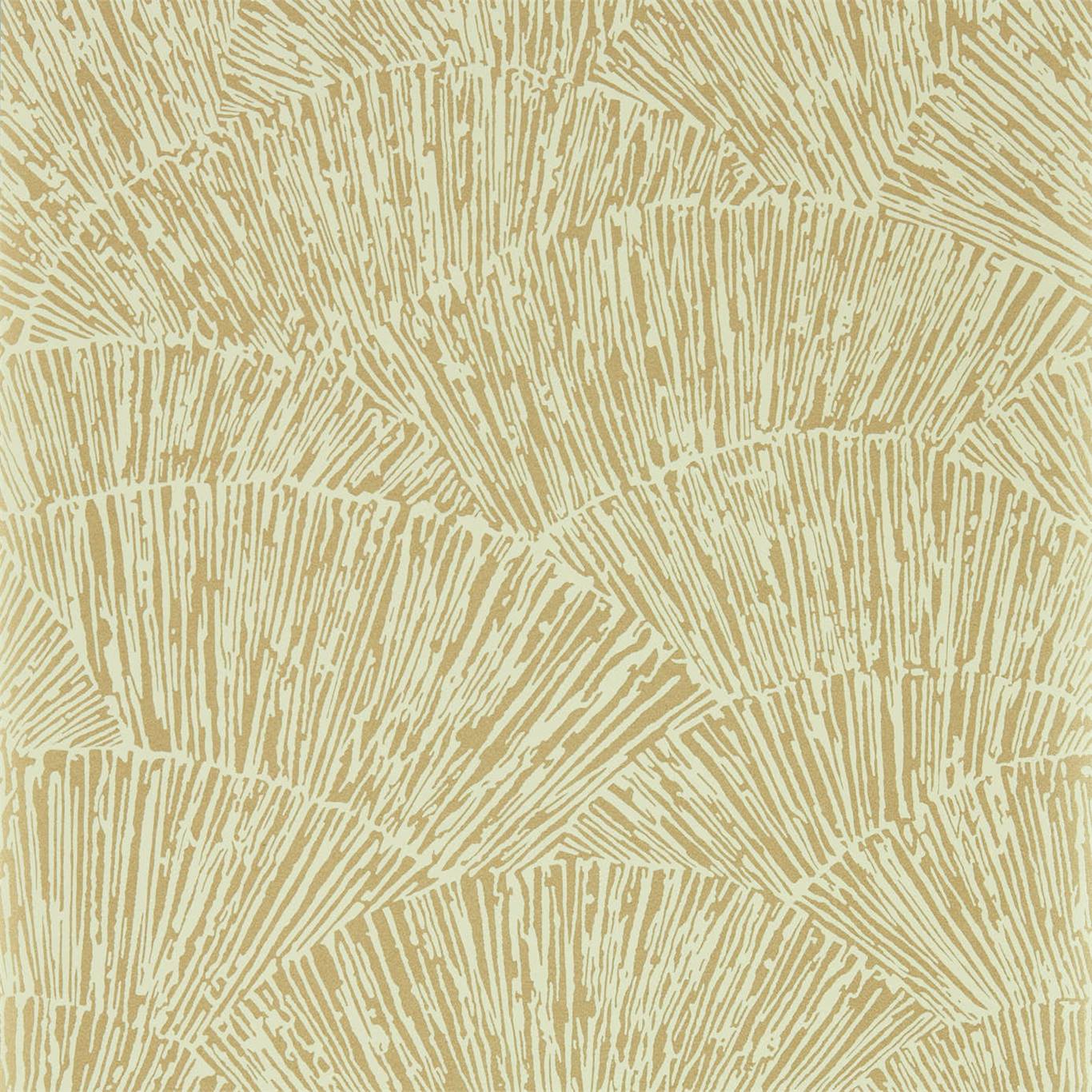 Обои Momentum 6 | 112180