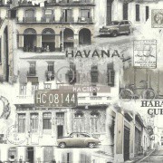 Обои Snapshots | VN0424