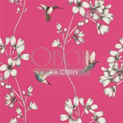 Обои Amazilia | 111058